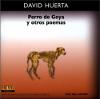 David_Huerta_Voz_Viva_500.jpg.jpg